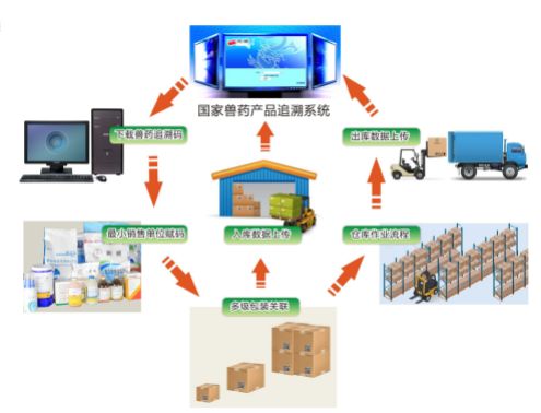 什么是包装系统？